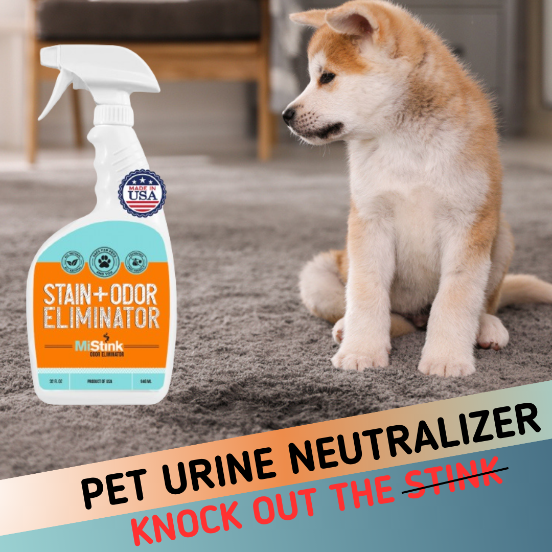 MiStink Pet Stain and Odor Eliminator – 32oz Spray Pet Odor Eliminator– Pet Urine Enzyme Cleaner– Fragrance-Free Odor and Stain Remover Spray